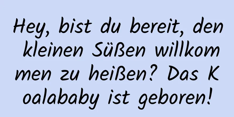 Hey, bist du bereit, den kleinen Süßen willkommen zu heißen? Das Koalababy ist geboren!