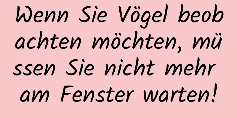 Wenn Sie Vögel beobachten möchten, müssen Sie nicht mehr am Fenster warten!