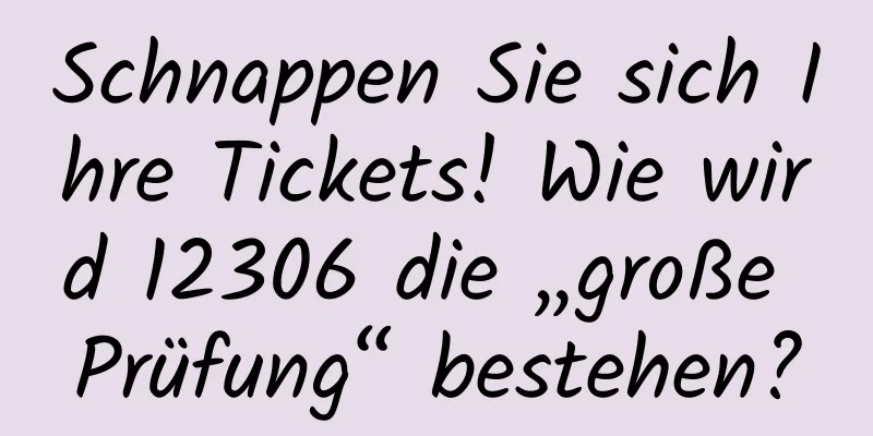Schnappen Sie sich Ihre Tickets! Wie wird 12306 die „große Prüfung“ bestehen?