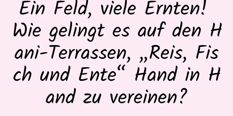 Ein Feld, viele Ernten! Wie gelingt es auf den Hani-Terrassen, „Reis, Fisch und Ente“ Hand in Hand zu vereinen?