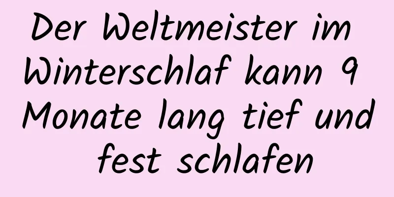 Der Weltmeister im Winterschlaf kann 9 Monate lang tief und fest schlafen