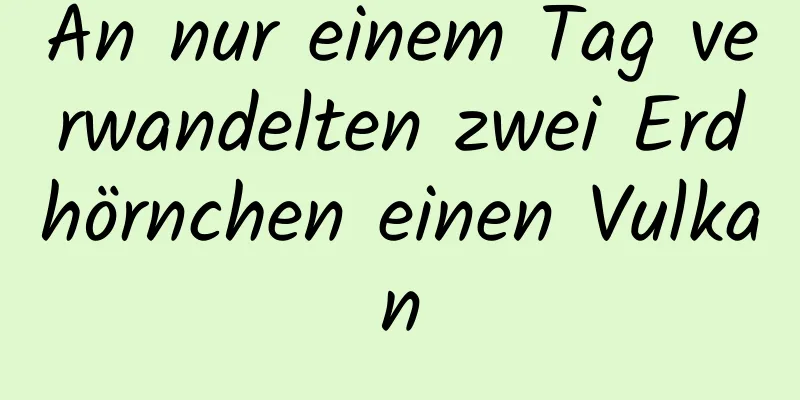 An nur einem Tag verwandelten zwei Erdhörnchen einen Vulkan