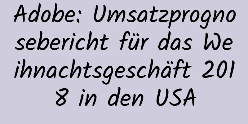 Adobe: Umsatzprognosebericht für das Weihnachtsgeschäft 2018 in den USA