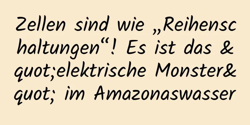 Zellen sind wie „Reihenschaltungen“! Es ist das "elektrische Monster" im Amazonaswasser