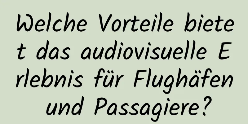 Welche Vorteile bietet das audiovisuelle Erlebnis für Flughäfen und Passagiere?