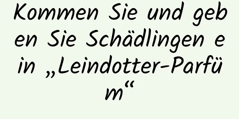 Kommen Sie und geben Sie Schädlingen ein „Leindotter-Parfüm“