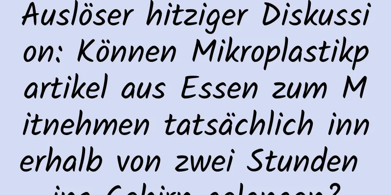 Auslöser hitziger Diskussion: Können Mikroplastikpartikel aus Essen zum Mitnehmen tatsächlich innerhalb von zwei Stunden ins Gehirn gelangen?