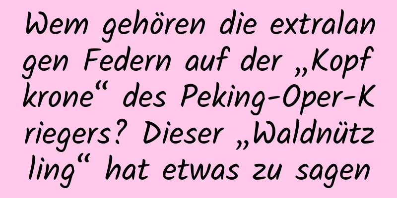 Wem gehören die extralangen Federn auf der „Kopfkrone“ des Peking-Oper-Kriegers? Dieser „Waldnützling“ hat etwas zu sagen