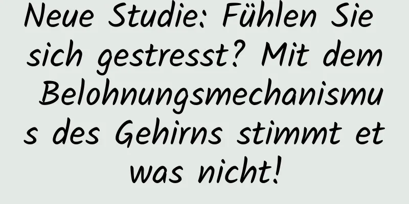 Neue Studie: Fühlen Sie sich gestresst? Mit dem Belohnungsmechanismus des Gehirns stimmt etwas nicht!