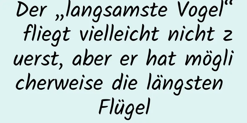 Der „langsamste Vogel“ fliegt vielleicht nicht zuerst, aber er hat möglicherweise die längsten Flügel
