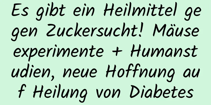 Es gibt ein Heilmittel gegen Zuckersucht! Mäuseexperimente + Humanstudien, neue Hoffnung auf Heilung von Diabetes