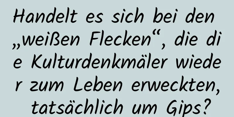 Handelt es sich bei den „weißen Flecken“, die die Kulturdenkmäler wieder zum Leben erweckten, tatsächlich um Gips?