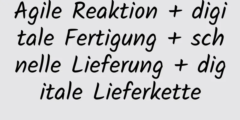 Agile Reaktion + digitale Fertigung + schnelle Lieferung + digitale Lieferkette