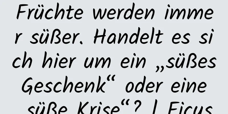 Früchte werden immer süßer. Handelt es sich hier um ein „süßes Geschenk“ oder eine „süße Krise“? | Ficus