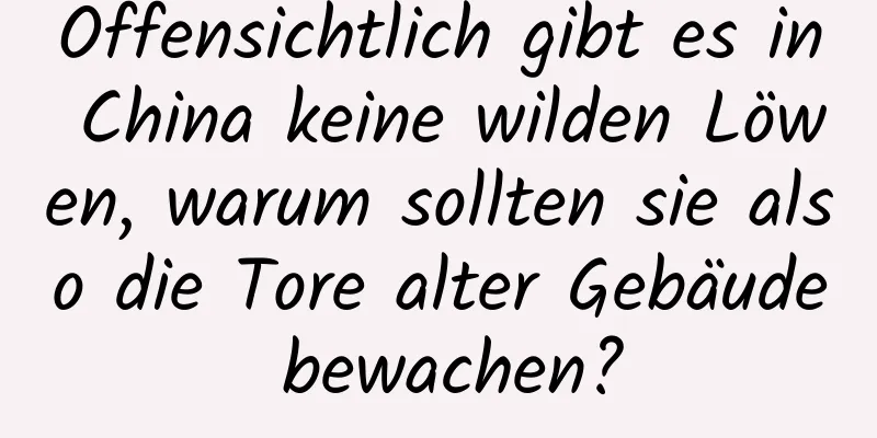 Offensichtlich gibt es in China keine wilden Löwen, warum sollten sie also die Tore alter Gebäude bewachen?