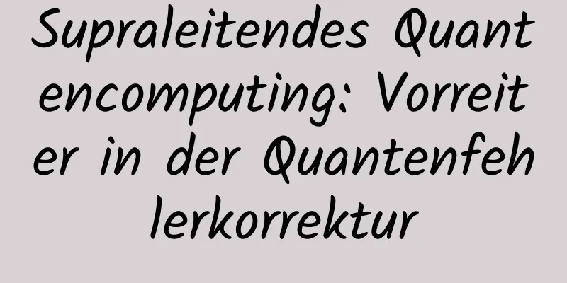 Supraleitendes Quantencomputing: Vorreiter in der Quantenfehlerkorrektur