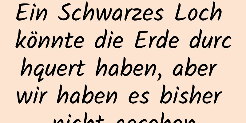 Ein Schwarzes Loch könnte die Erde durchquert haben, aber wir haben es bisher nicht gesehen