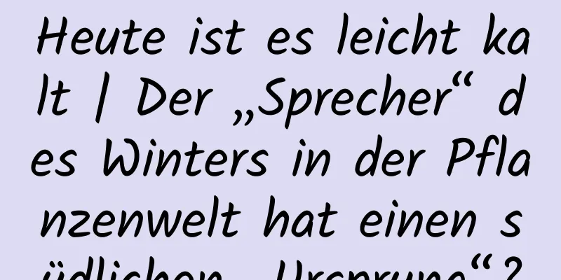 Heute ist es leicht kalt | Der „Sprecher“ des Winters in der Pflanzenwelt hat einen südlichen „Ursprung“?