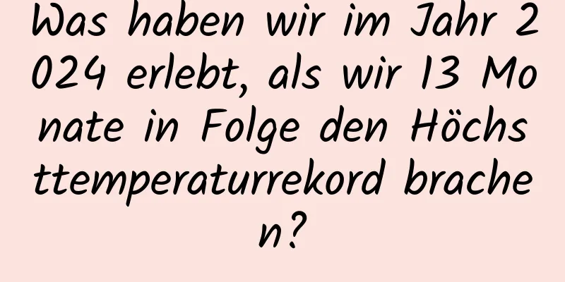Was haben wir im Jahr 2024 erlebt, als wir 13 Monate in Folge den Höchsttemperaturrekord brachen?