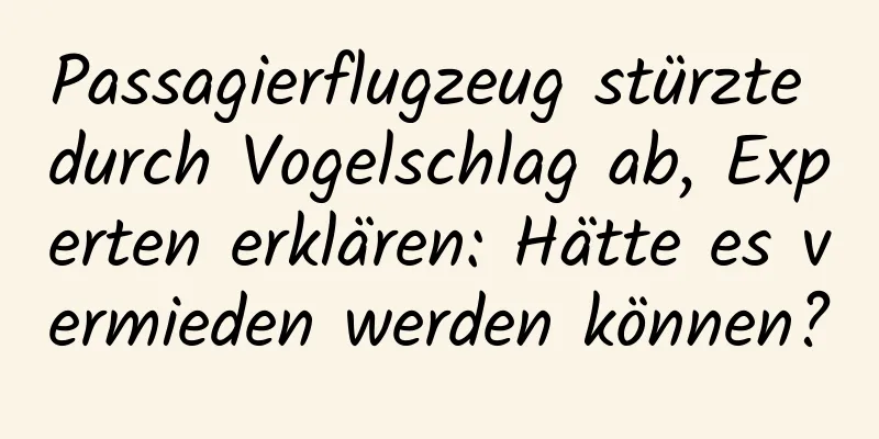 Passagierflugzeug stürzte durch Vogelschlag ab, Experten erklären: Hätte es vermieden werden können?