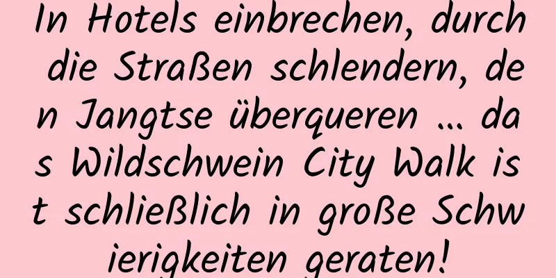 In Hotels einbrechen, durch die Straßen schlendern, den Jangtse überqueren … das Wildschwein City Walk ist schließlich in große Schwierigkeiten geraten!