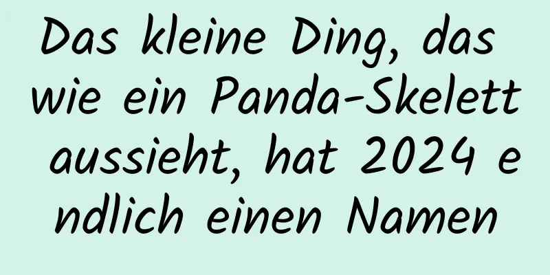 Das kleine Ding, das wie ein Panda-Skelett aussieht, hat 2024 endlich einen Namen