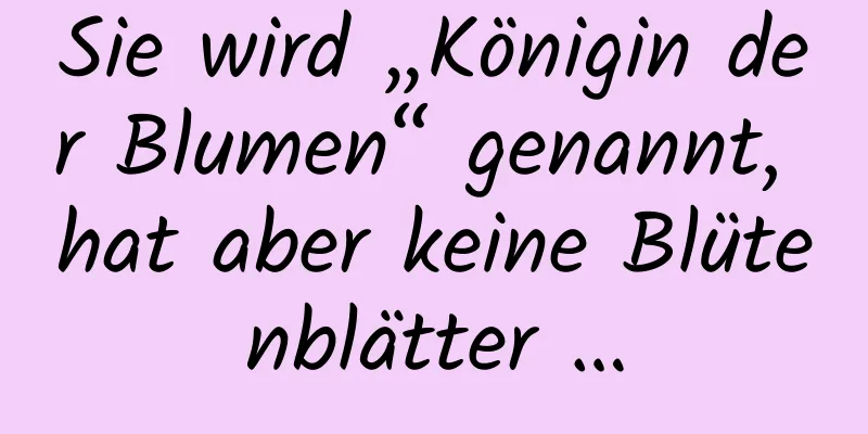 Sie wird „Königin der Blumen“ genannt, hat aber keine Blütenblätter …