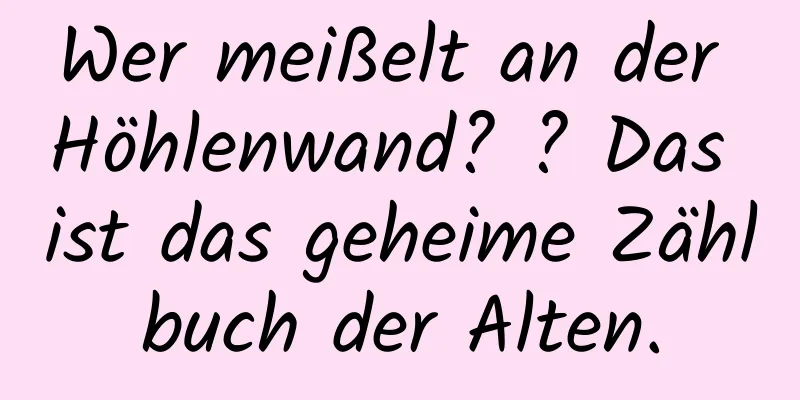 Wer meißelt an der Höhlenwand? ? Das ist das geheime Zählbuch der Alten.