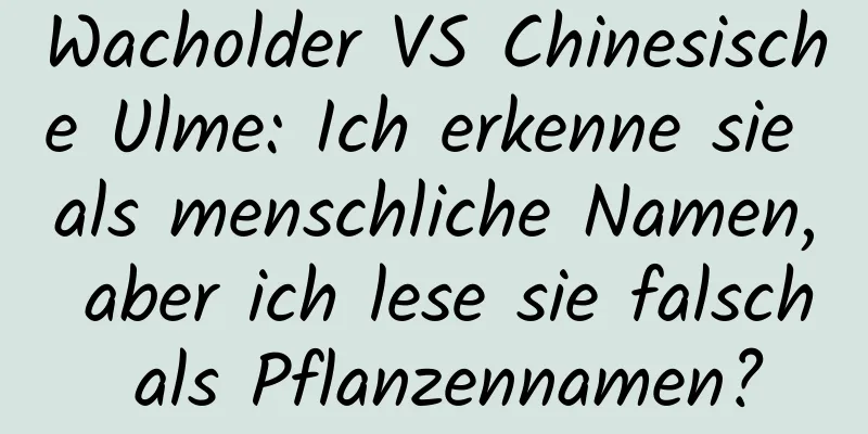 Wacholder VS Chinesische Ulme: Ich erkenne sie als menschliche Namen, aber ich lese sie falsch als Pflanzennamen?