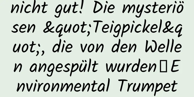 nicht gut! Die mysteriösen "Teigpickel", die von den Wellen angespült wurden丨Environmental Trumpet
