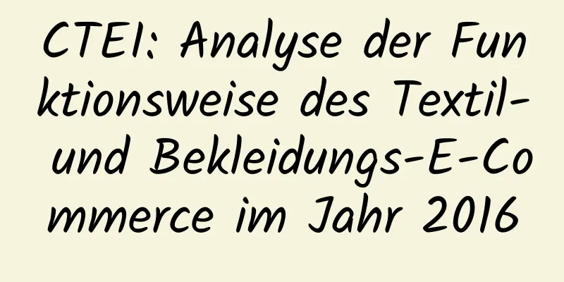 CTEI: Analyse der Funktionsweise des Textil- und Bekleidungs-E-Commerce im Jahr 2016