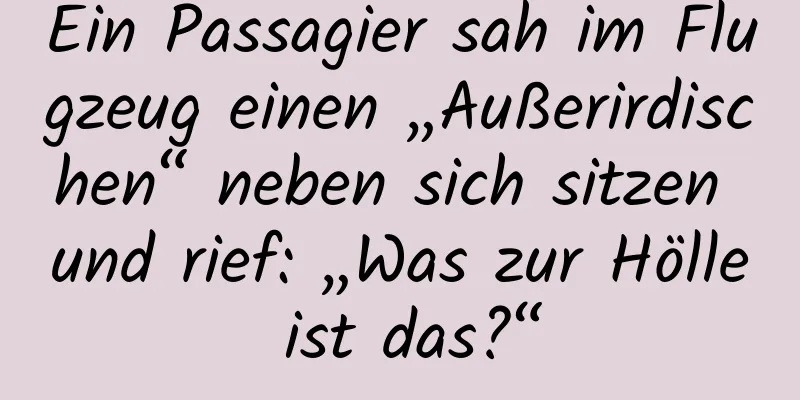 Ein Passagier sah im Flugzeug einen „Außerirdischen“ neben sich sitzen und rief: „Was zur Hölle ist das?“