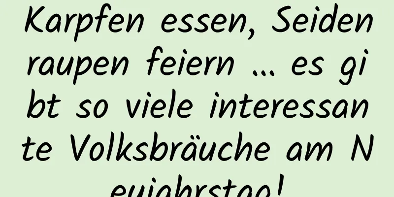 Karpfen essen, Seidenraupen feiern … es gibt so viele interessante Volksbräuche am Neujahrstag!