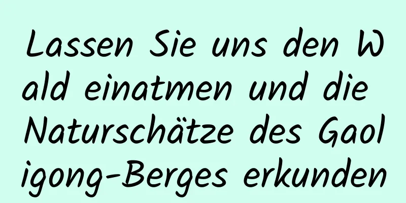 Lassen Sie uns den Wald einatmen und die Naturschätze des Gaoligong-Berges erkunden