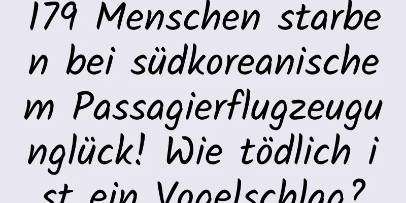 179 Menschen starben bei südkoreanischem Passagierflugzeugunglück! Wie tödlich ist ein Vogelschlag?