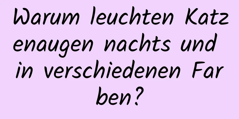 Warum leuchten Katzenaugen nachts und in verschiedenen Farben?