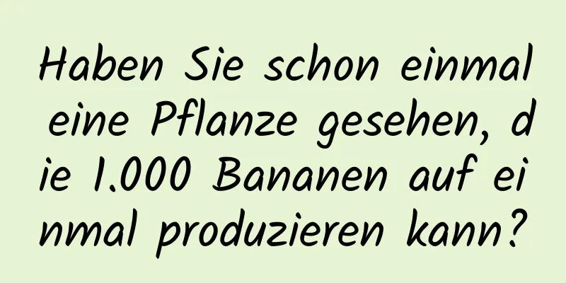 Haben Sie schon einmal eine Pflanze gesehen, die 1.000 Bananen auf einmal produzieren kann?