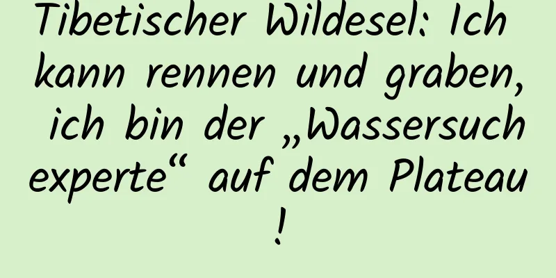 Tibetischer Wildesel: Ich kann rennen und graben, ich bin der „Wassersuchexperte“ auf dem Plateau!