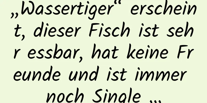 „Wassertiger“ erscheint, dieser Fisch ist sehr essbar, hat keine Freunde und ist immer noch Single …