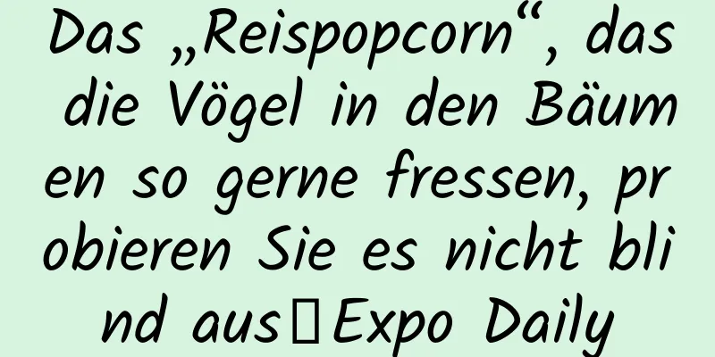 Das „Reispopcorn“, das die Vögel in den Bäumen so gerne fressen, probieren Sie es nicht blind aus｜Expo Daily