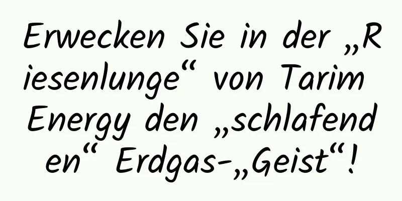 Erwecken Sie in der „Riesenlunge“ von Tarim Energy den „schlafenden“ Erdgas-„Geist“!