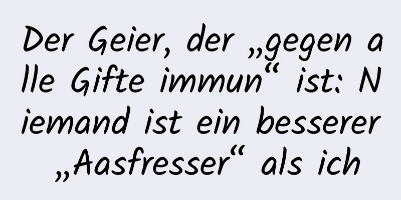 Der Geier, der „gegen alle Gifte immun“ ist: Niemand ist ein besserer „Aasfresser“ als ich