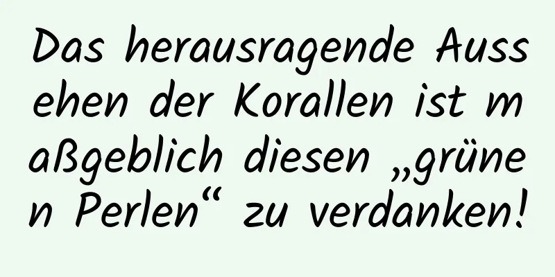 Das herausragende Aussehen der Korallen ist maßgeblich diesen „grünen Perlen“ zu verdanken!
