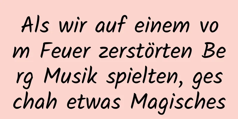 Als wir auf einem vom Feuer zerstörten Berg Musik spielten, geschah etwas Magisches