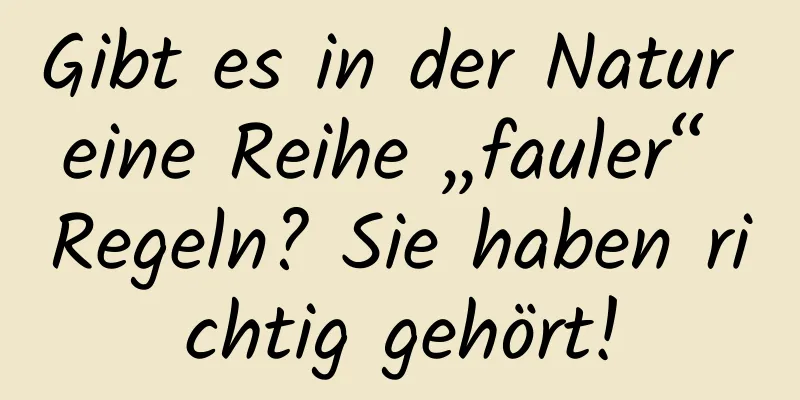 Gibt es in der Natur eine Reihe „fauler“ Regeln? Sie haben richtig gehört!