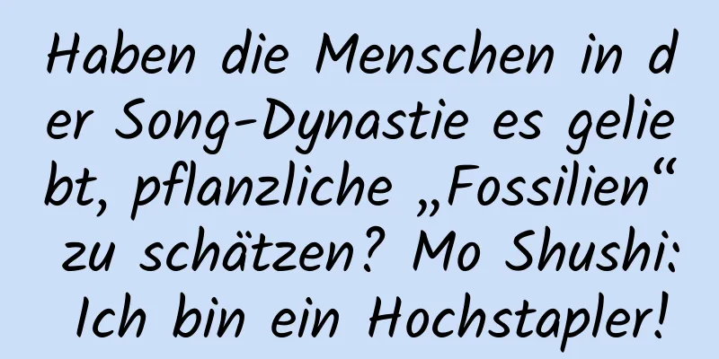 Haben die Menschen in der Song-Dynastie es geliebt, pflanzliche „Fossilien“ zu schätzen? Mo Shushi: Ich bin ein Hochstapler!