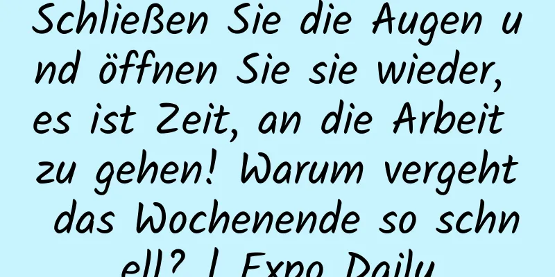 Schließen Sie die Augen und öffnen Sie sie wieder, es ist Zeit, an die Arbeit zu gehen! Warum vergeht das Wochenende so schnell? | Expo Daily