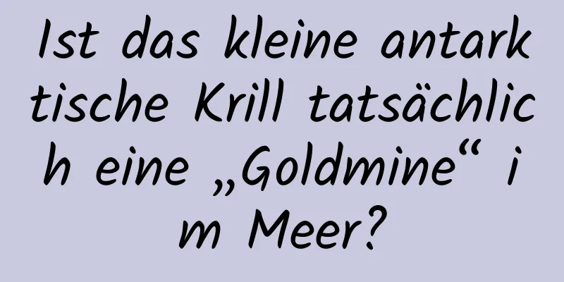 Ist das kleine antarktische Krill tatsächlich eine „Goldmine“ im Meer?