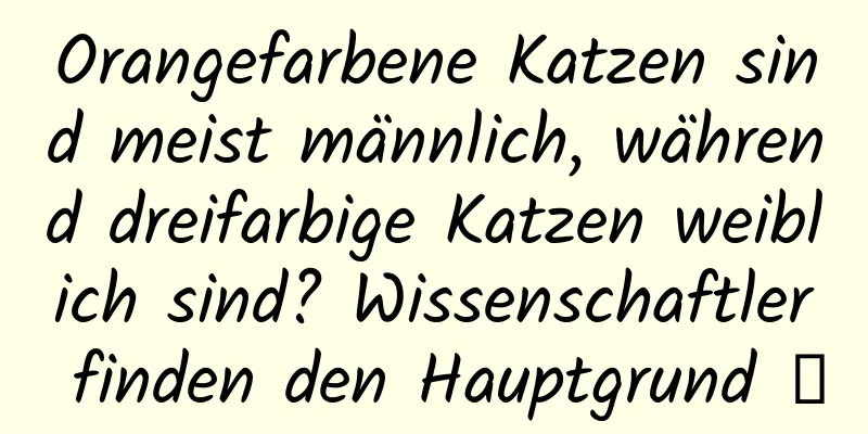 Orangefarbene Katzen sind meist männlich, während dreifarbige Katzen weiblich sind? Wissenschaftler finden den Hauptgrund →
