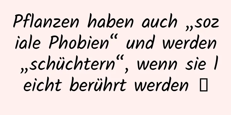 Pflanzen haben auch „soziale Phobien“ und werden „schüchtern“, wenn sie leicht berührt werden →